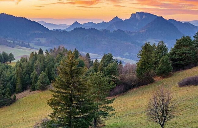 Jaworki Green Dream - Foto 60