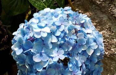 Casa SFX Centro - Foto 17