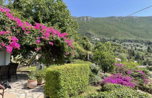 Hoolit House - Foto 22