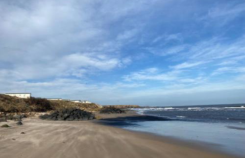 Sandy bay mariners rise - Foto 13