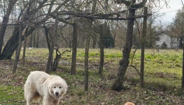 Agriturismo Cascina degli Ulivi - Foto 3