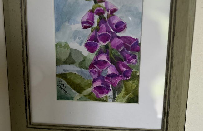 Cosy Devon Retreat Woodland Views - Foto 14