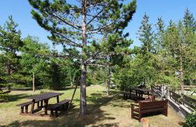 Dimora San Vincenzo - Foto 23