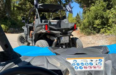 Modern Urban Oasis - Korčula - Photo 15