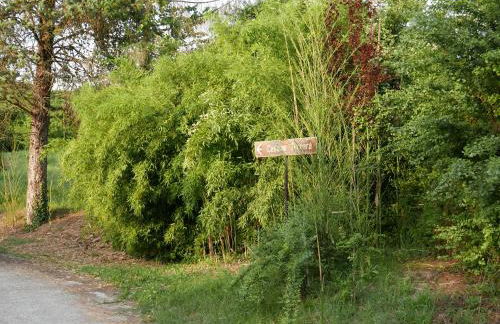 Cascina Tornara, ritorno alle origini monferrine - Foto 50