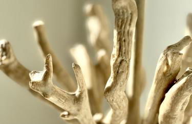 Oltremare Suite N37 Benessere invernale con vista mare - Foto 9