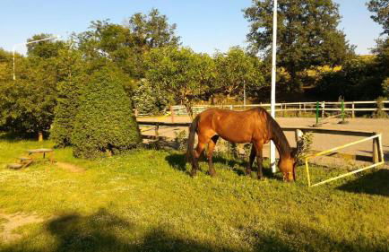 Agriturismo San Filippo - Foto 36