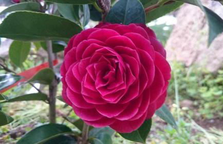 Quinta da Idalina - Foto 64