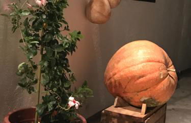 El Lagar de los Abuelos - Foto 55