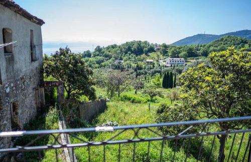 Il Vicoletto - Foto 31