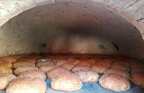 Familienferienhof Kroner - Foto 56