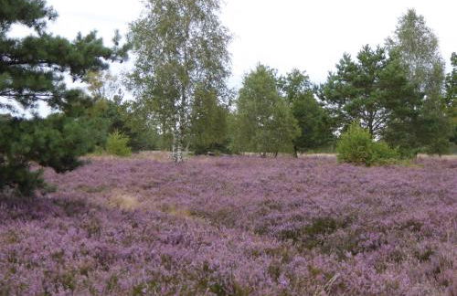 Wassermühle Stemmen - Foto 23