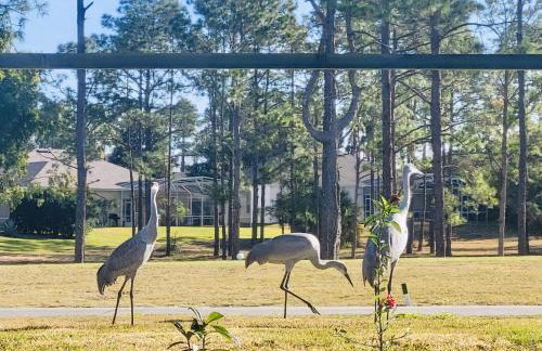 Amazing Vacation Home With Private Pool at Highland Reserve! - Foto 72