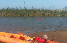 Casa Eucaliptus - Foto 52