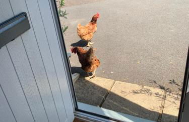 Stillmeadow - Foto 47