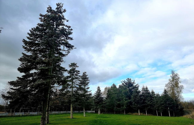 Luxury Spa Retreat in Thorsager - By Traum Ferienwohnungen - Photo 11