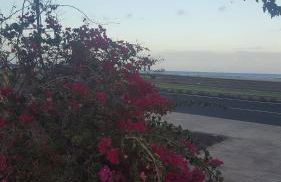 Esquinzo Residenzial - Foto 16