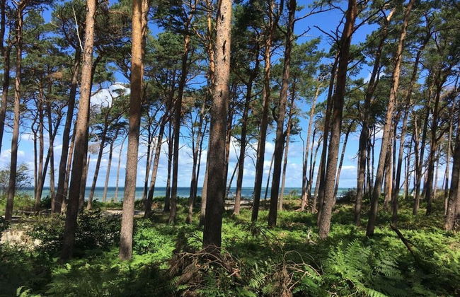 Baltic Sea Dromelhus - Foto 40