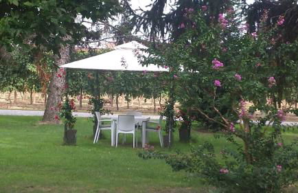 Agriturismo Villa Dei Gelsi - Photo 19