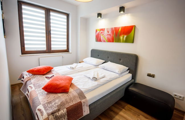 Apartamenty Sun & Snow Zielony Zdrój - Foto 38