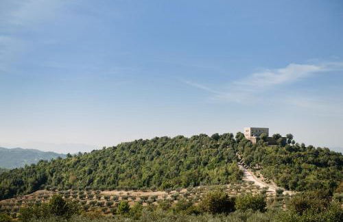 Tenuta di Forte Sorgnano - Foto 23