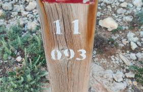 Casa Addaia Playa Arenal d'en Castell Beach - Foto 34