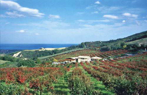 Country House Il Cascinale - Photo 25