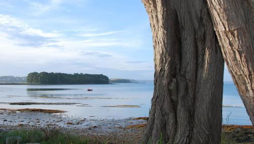 Maison les pieds dans l'eau - Foto 3, Garden