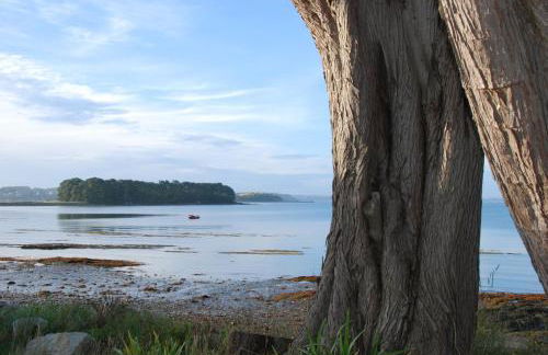Maison les pieds dans l'eau - Foto 3