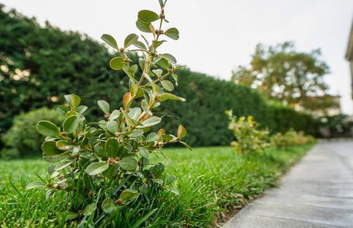 Meteora vibes - Foto 8