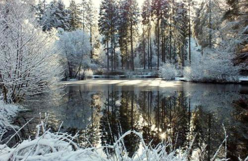 The Little Acorn - Photo 22