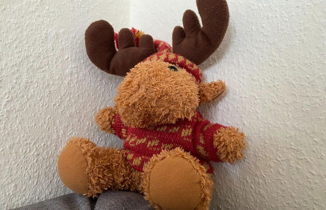 Ferienwohnung in der Nahe vom Hexentanzplatz - Foto 18