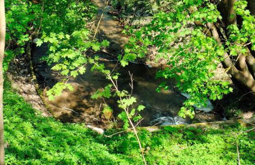 Leśna Chata kuracyjna nad rzeką z sauną w Borach Tucholskich - Foto 31