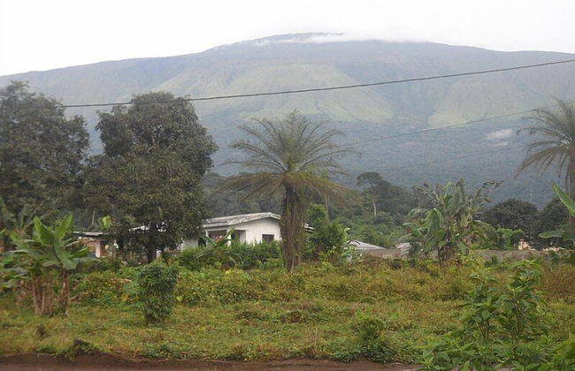 Venetian Villa - Foto 13