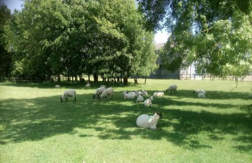 Cottage in Brookland Near Romney Marsh - Photo 35