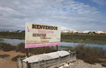 Casa Planta Alta Bungalow 29 - Foto 26