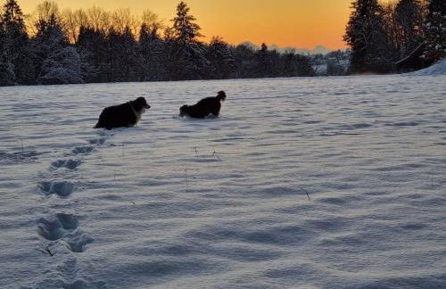 Ferienwohnung mit Garten und Bergblick - Foto 42