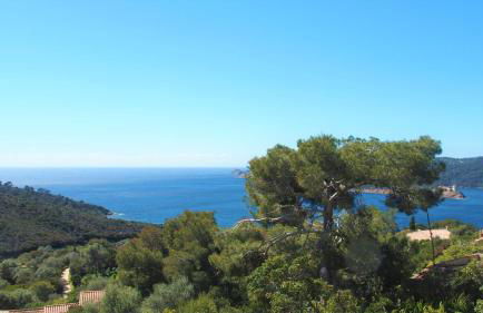 La roche aux mouettes Ile du Levant - Foto 1