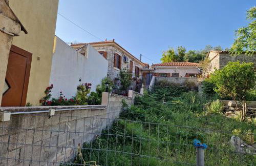 Afroditi's 1 - Photo 61