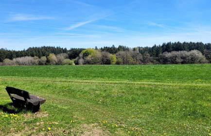 Wohlfühloase in der Eifel mit Weitblick in die Natur, Seenähe, Poolnutzung, Minigolf, Tennis und vieles mehr - Photo 47