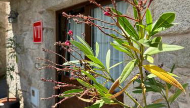 A Eira da Laxe - Foto 3