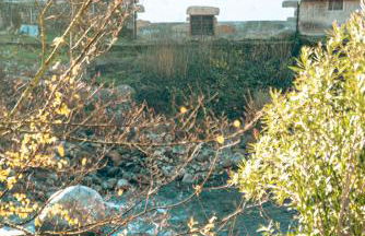 Apartamentos en el Valle del Jerte Flores para Angela - Foto 57