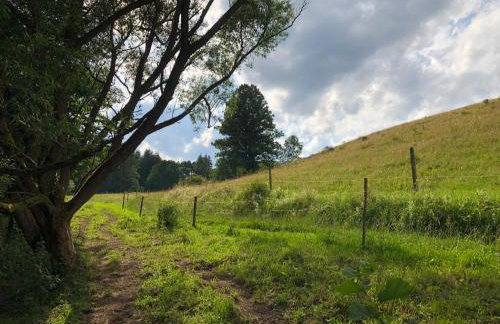 Sowia Enklawa - Foto 40