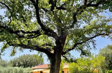 Agriturismo I Tre Fossi - Foto 18