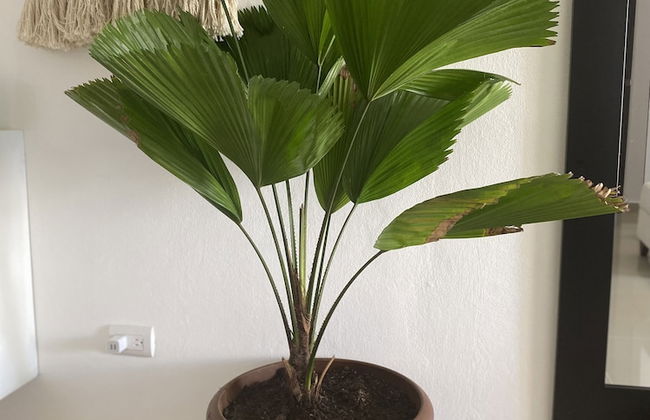 Bridget Place - Foto 5