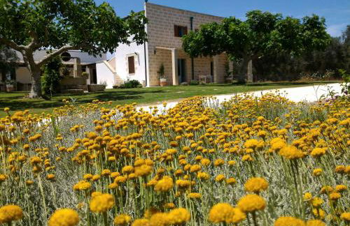 Masseria Vignenove - Foto 33