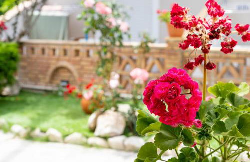 Asteri Studios - Photo 20