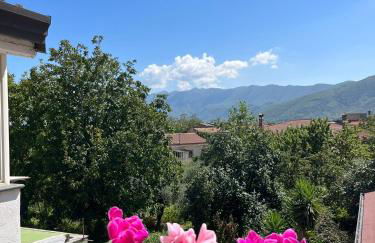 Nonna Maria - Foto 23