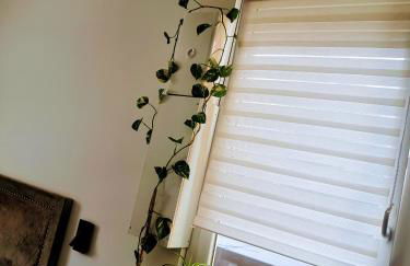 Hôte Stéphanois Studio & parking - Foto 24