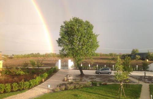 Masseria Fontana dei Fieri - Foto 133